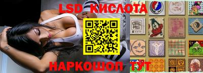 крисы Можга