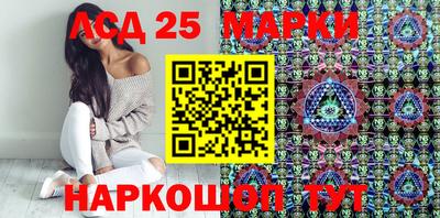 крисы Можга