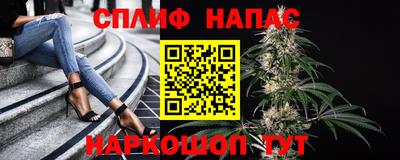 крисы Можга