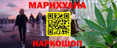крисы Можга
