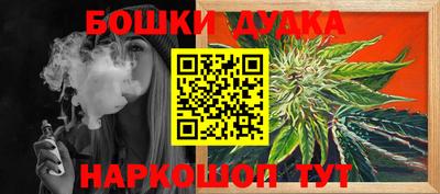 крисы Можга