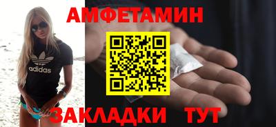 крисы Можга