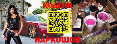 крисы Можга
