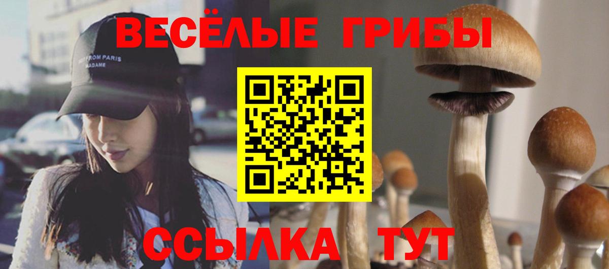 Галлюциногенные грибы мицелий  Вход с VPN  Старая Купавна 